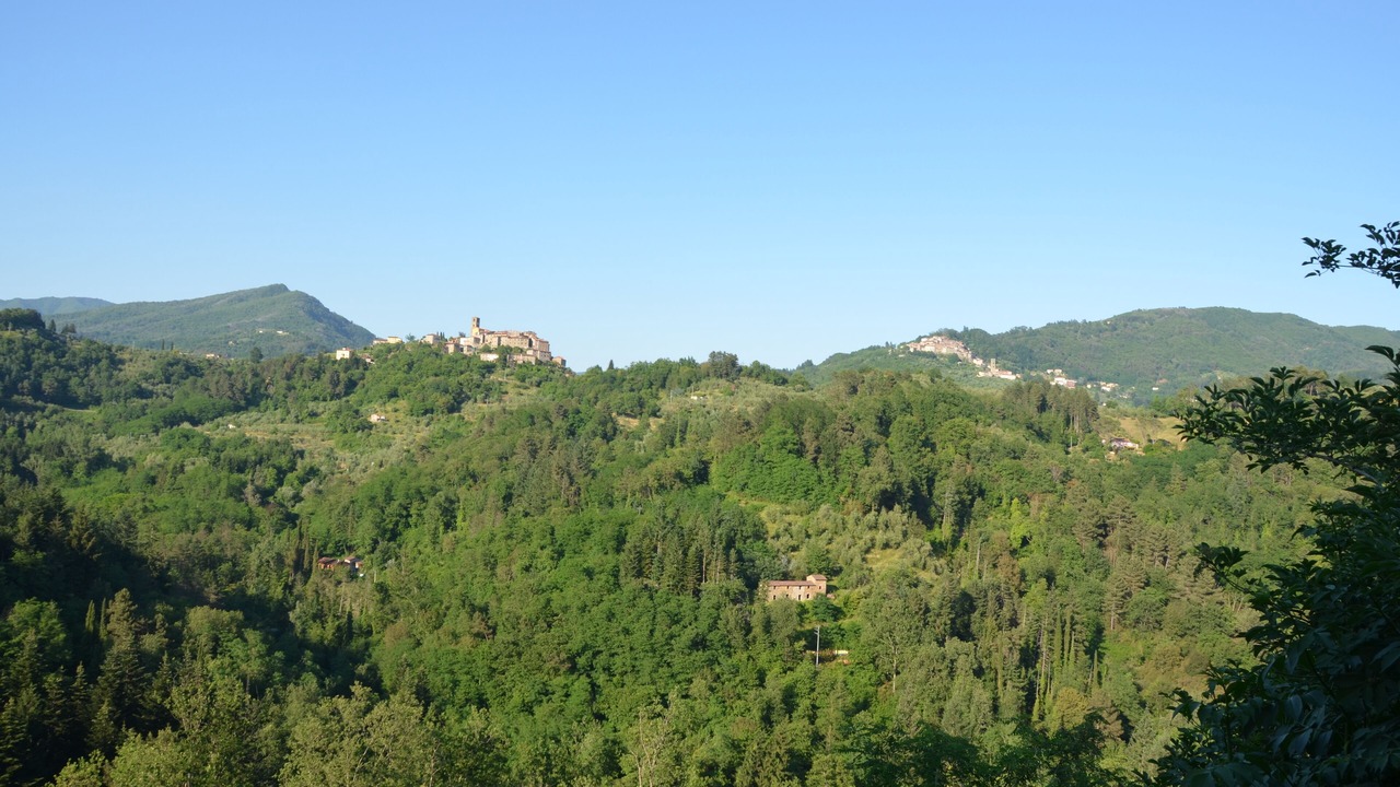 Photo of Others in Aramo