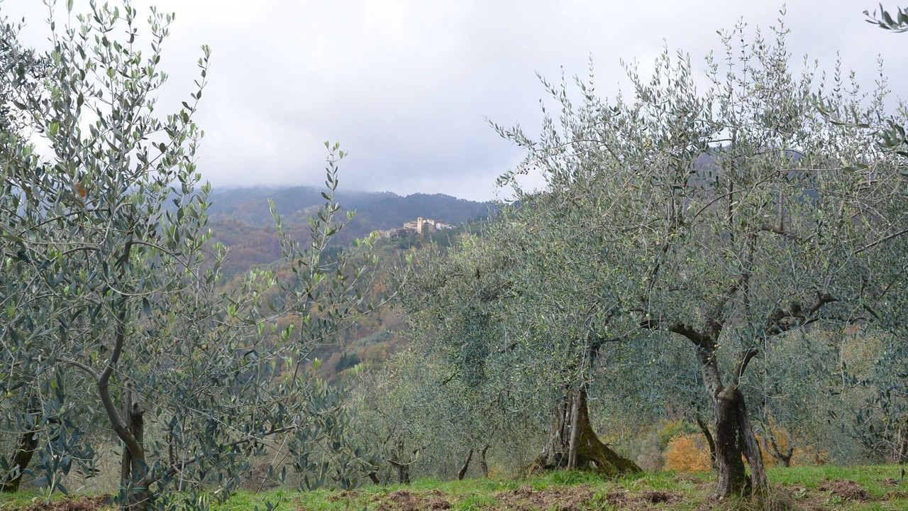 Photo of Others in Aramo