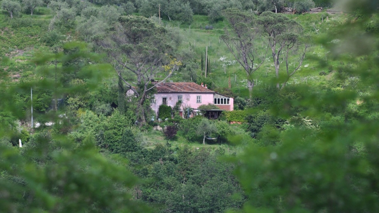 Photo of Outdoor in Aramo