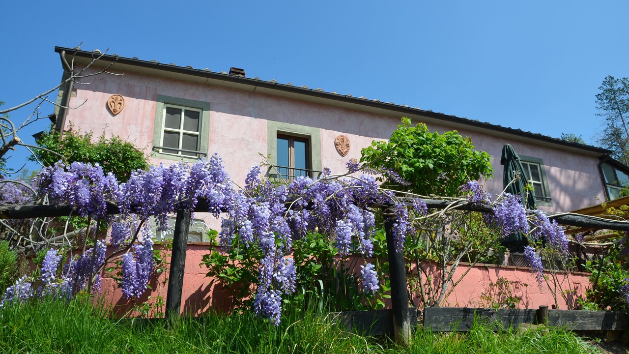 Photo of Outdoor in Aramo