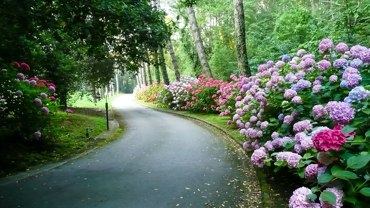 Photo of Outdoor in Vicopelago