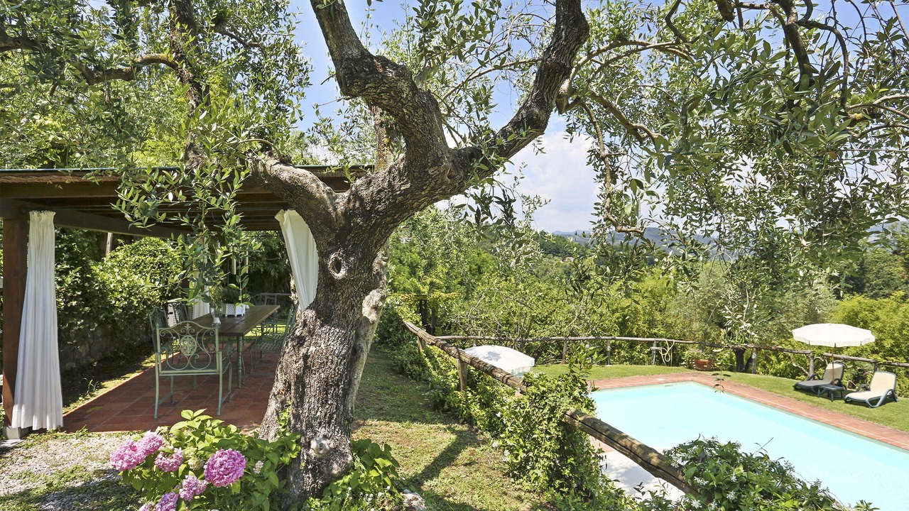 Photo of Outdoor in Vicopelago