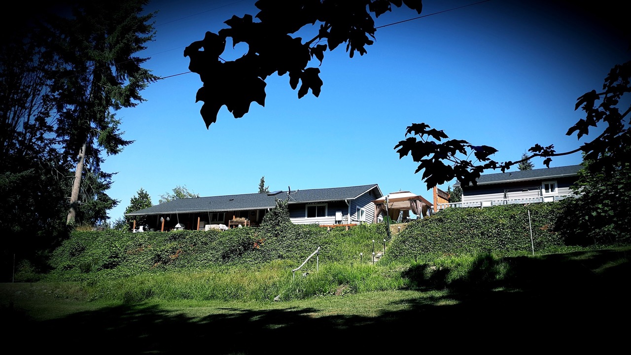 Photo of Outdoor in Port Angeles
