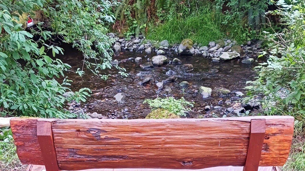 Photo of Outdoor in Port Angeles