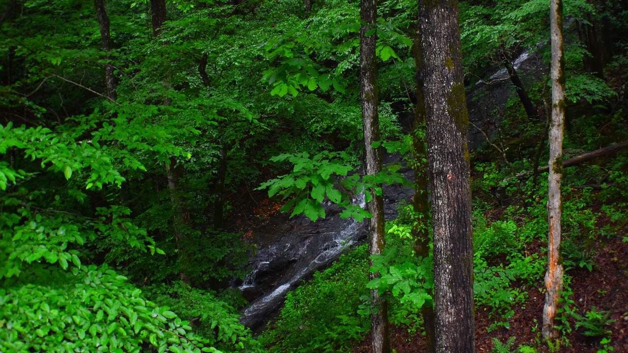 Photo of Others in Hiawassee