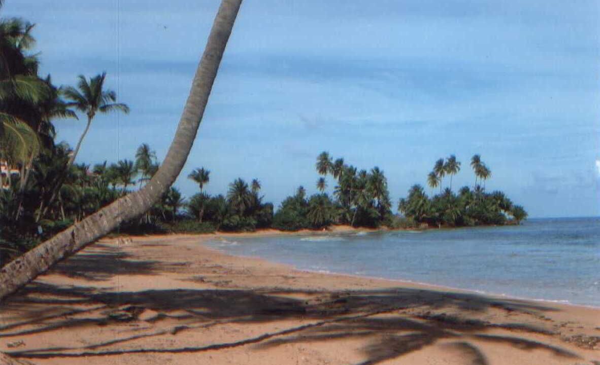 Photo of Others in Candelero Abajo