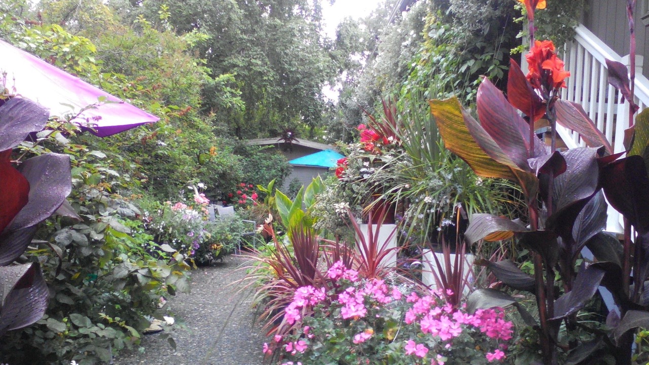 Photo of Outdoor in Spenard