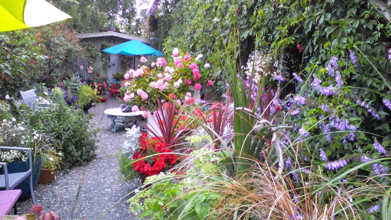 Photo of Outdoor in Spenard