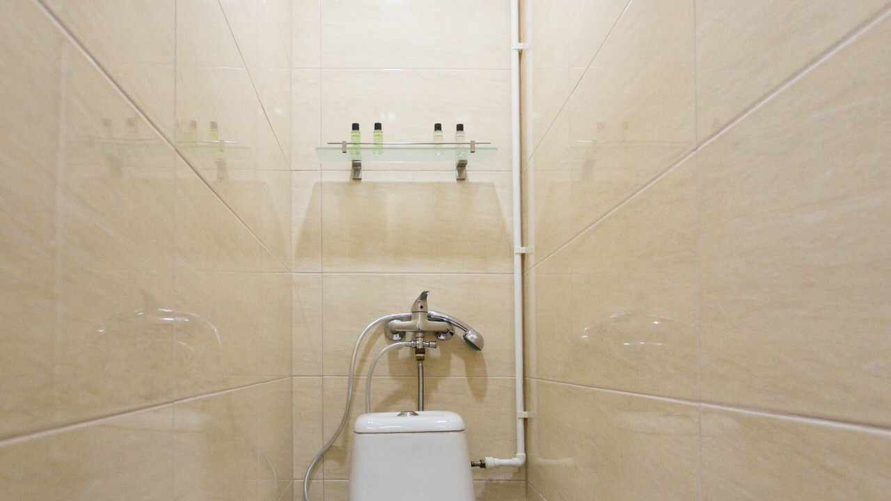 Photo of Bathroom in Avlabari