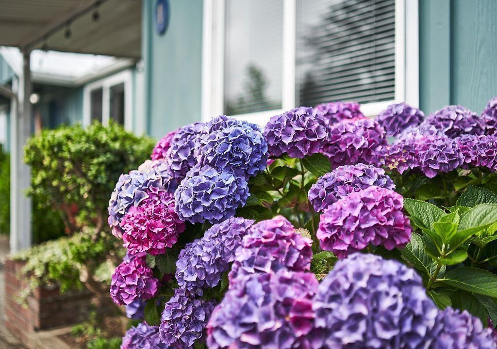 Photo of Outdoor in Netarts