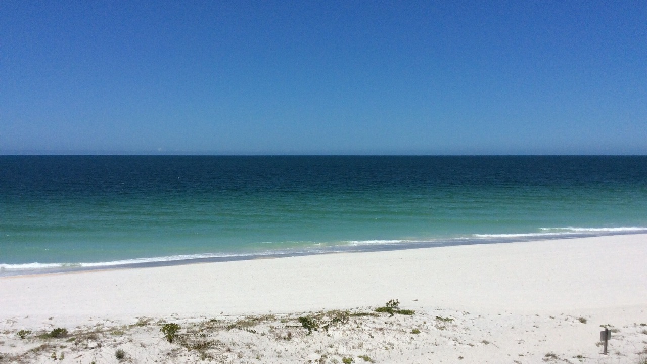 Photo of Others in Sand Key