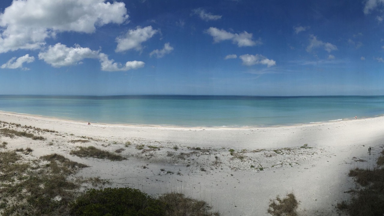 Photo of Others in Sand Key