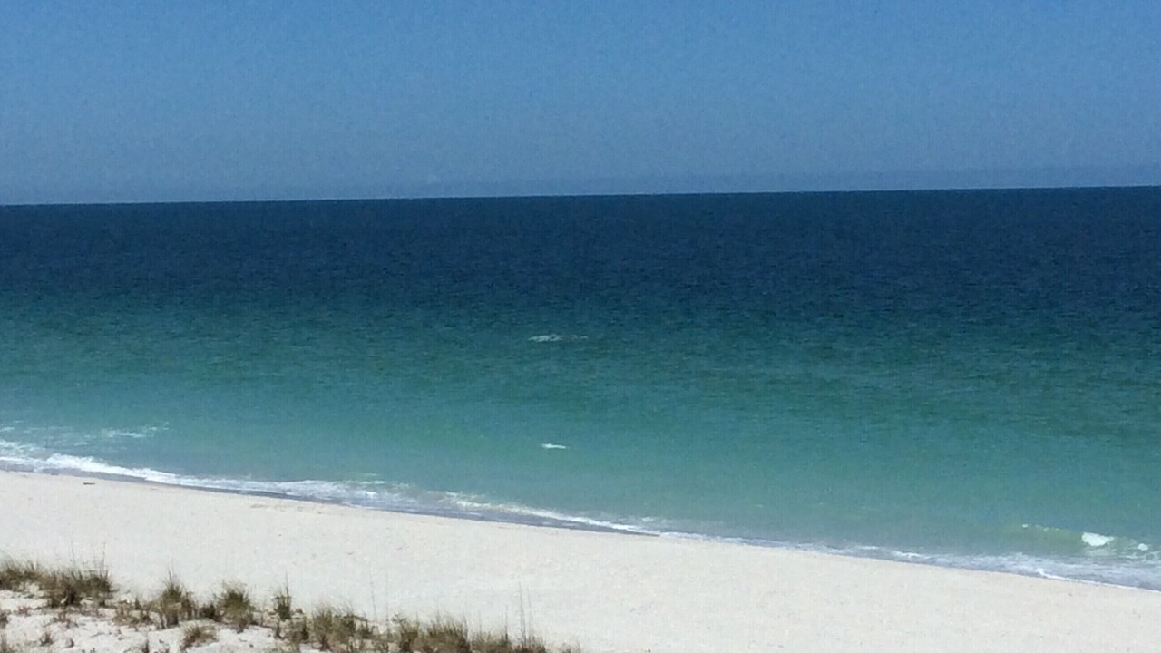 Photo of Others in Sand Key