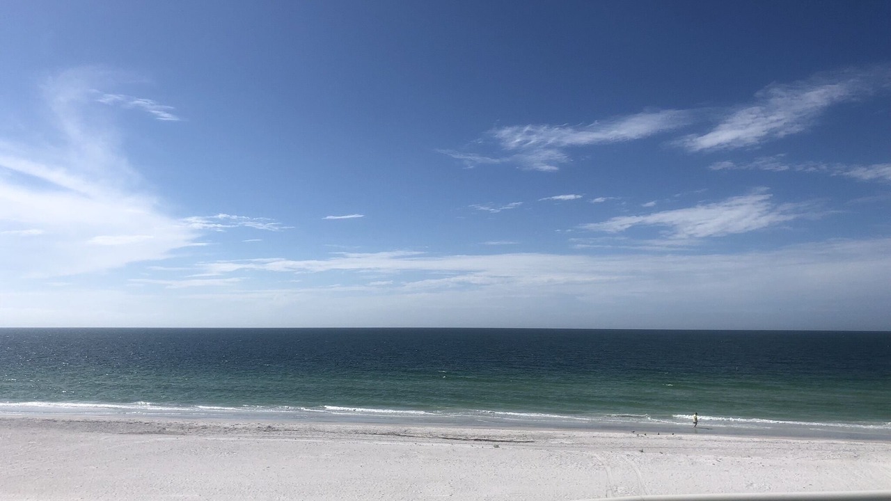Photo of Others in Sand Key