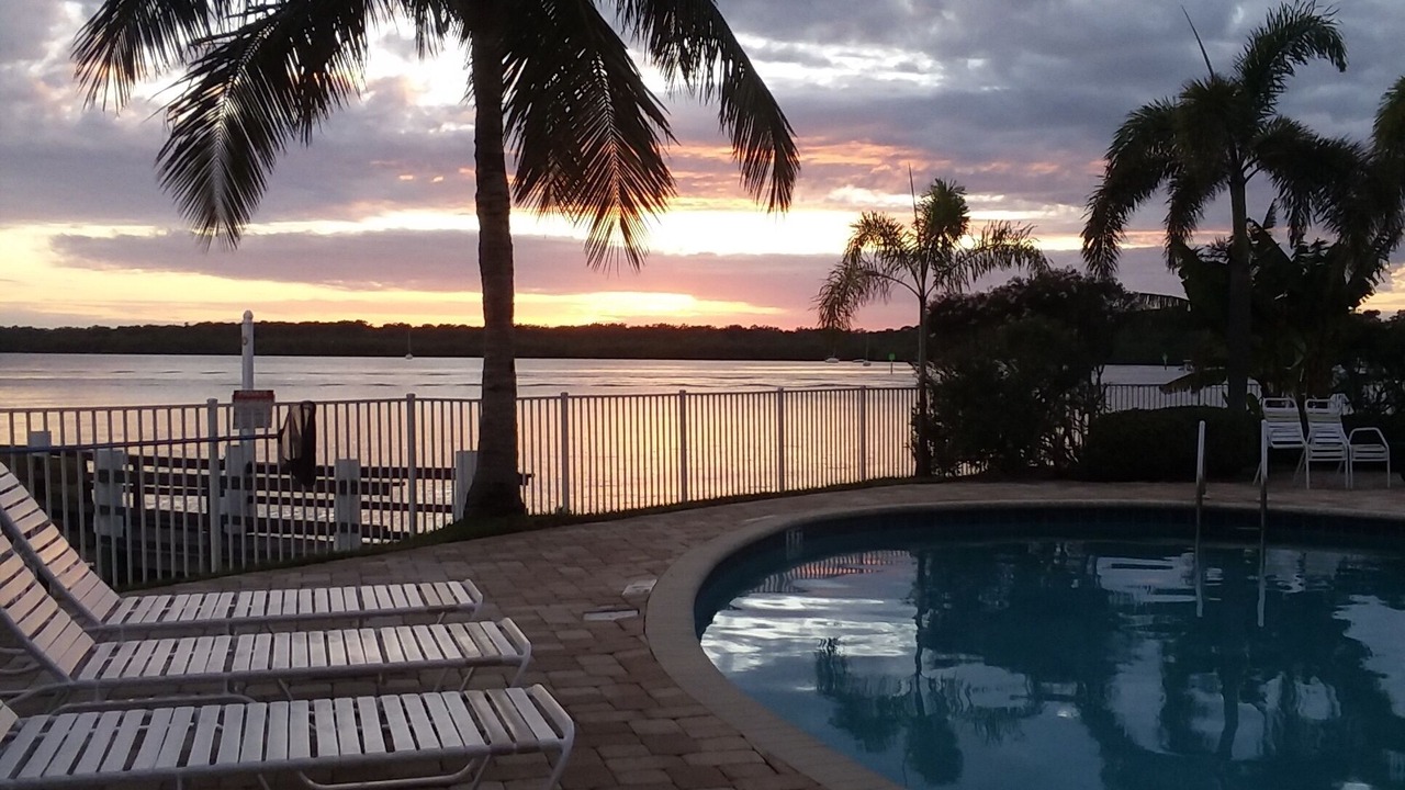 Photo of Outdoor in St. Petersburg - Clearwater