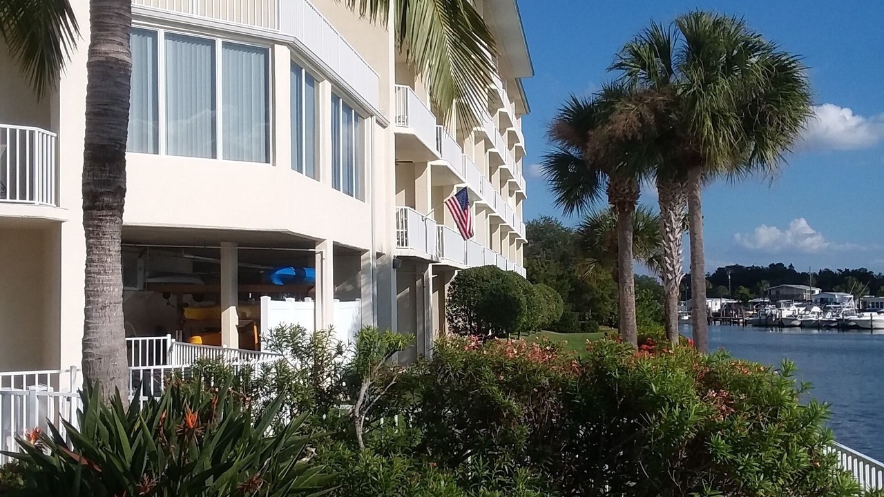 Photo of Outdoor in St. Petersburg - Clearwater