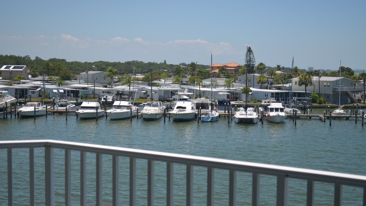 Photo of Outdoor in St. Petersburg - Clearwater
