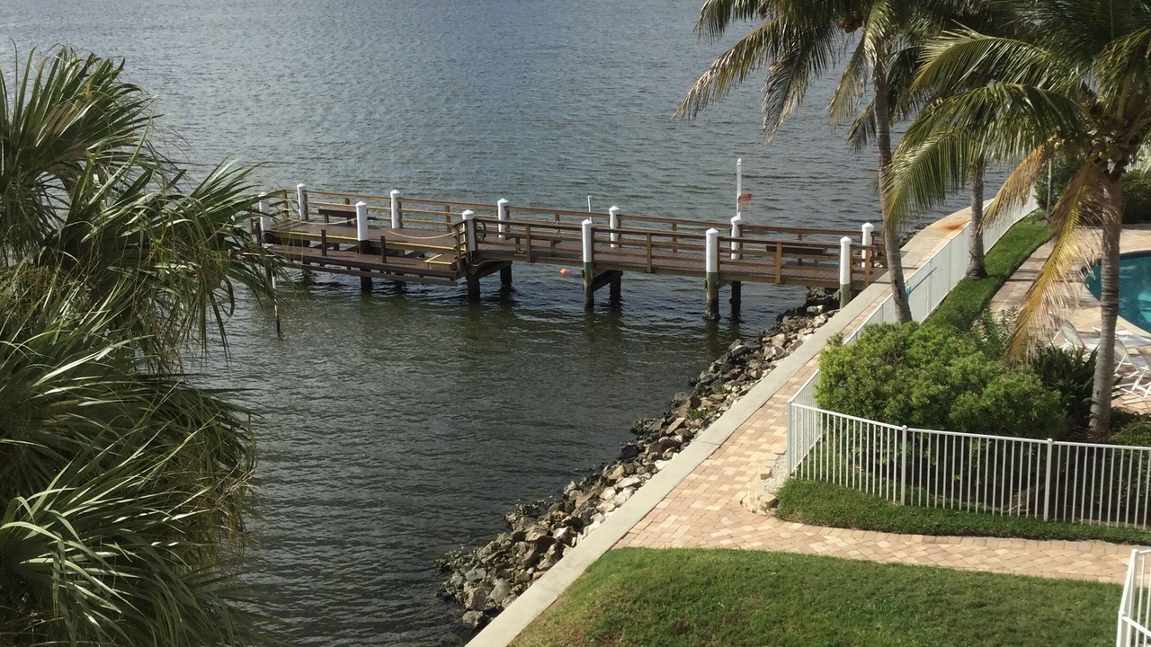 Photo of Others in St. Petersburg - Clearwater