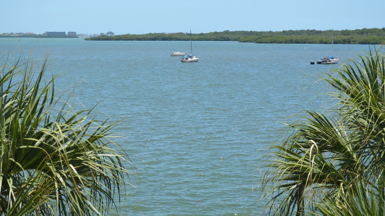 Photo of Others in St. Petersburg - Clearwater