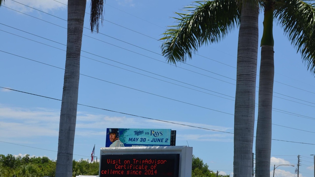 Photo of Outdoor in St. Petersburg - Clearwater