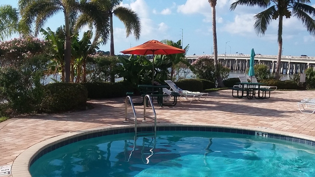 Photo of Outdoor in St. Petersburg - Clearwater