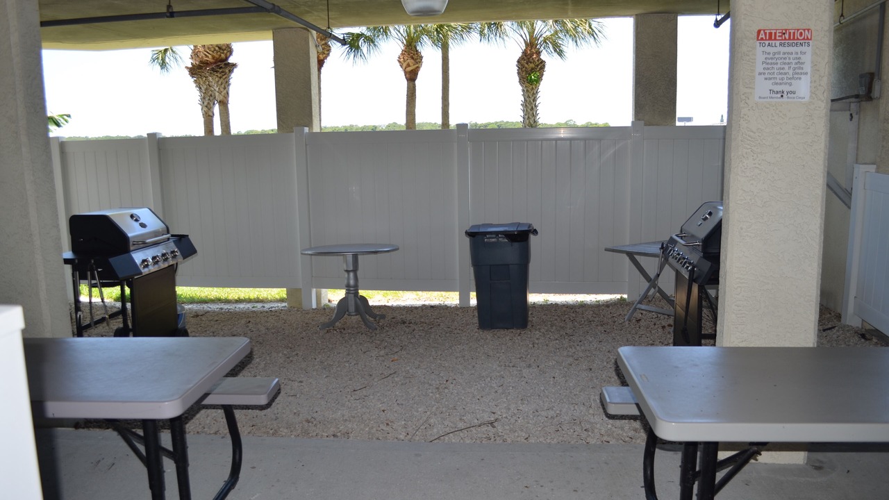 Photo of Outdoor in St. Petersburg - Clearwater