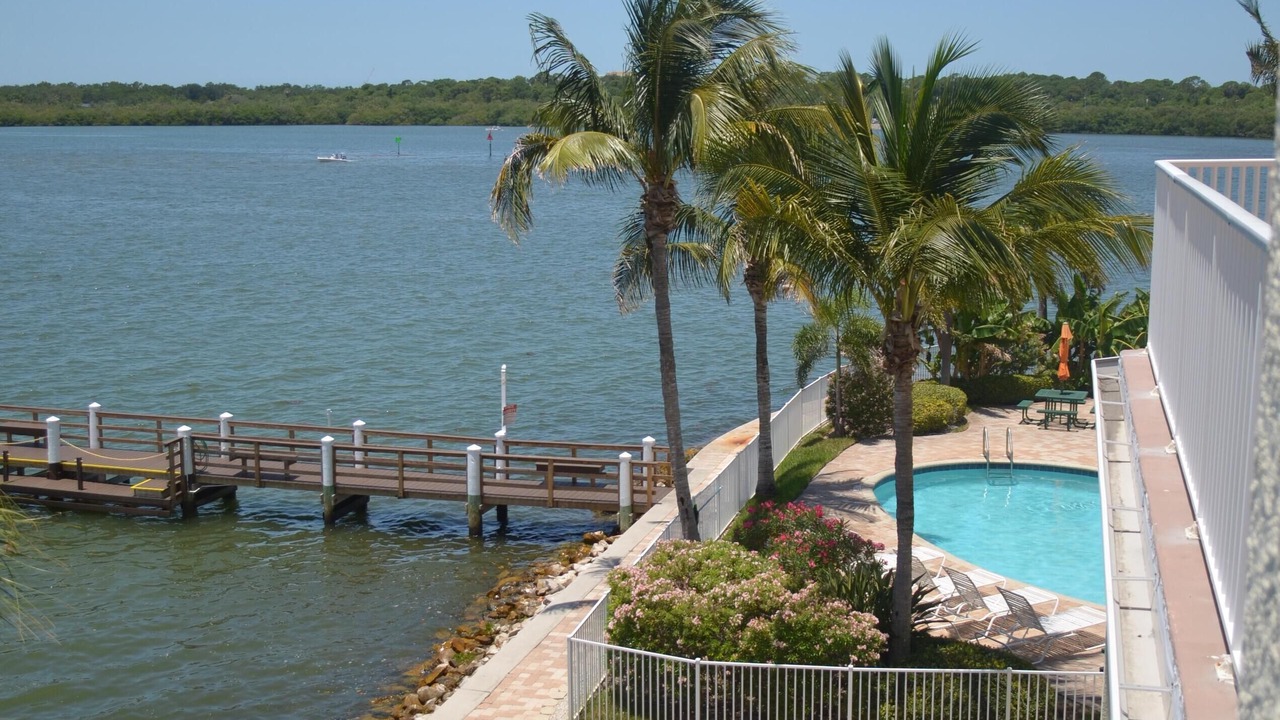 Photo of Outdoor in St. Petersburg - Clearwater