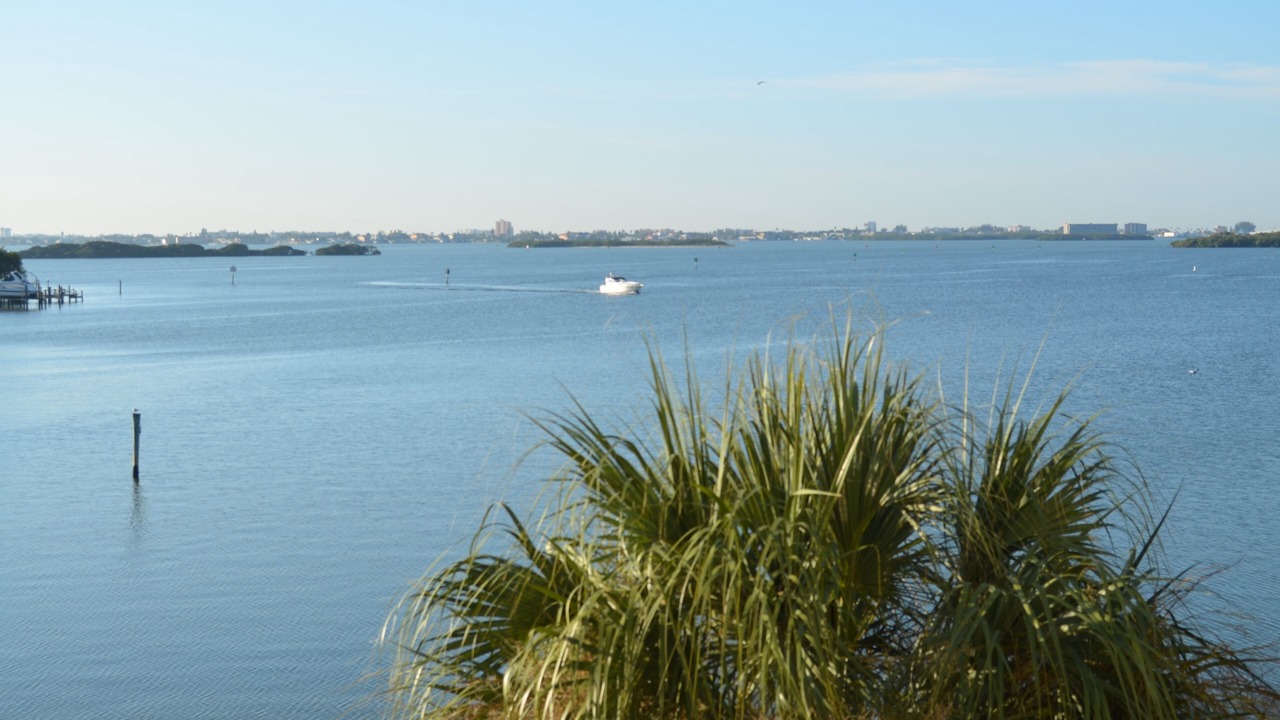 Photo of Others in St. Petersburg - Clearwater