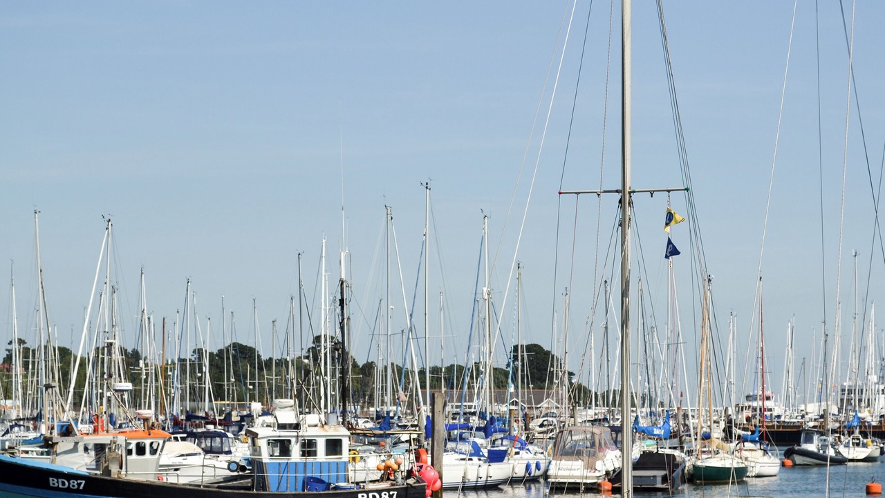 Photo of Others in Netley