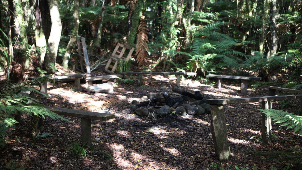 Photo of Others in Lower Kaimai