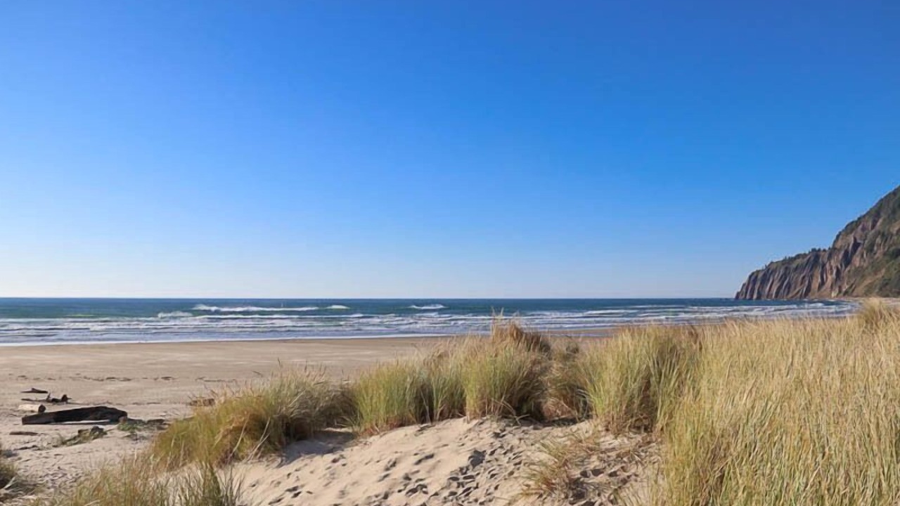 Photo of Others in Manzanita