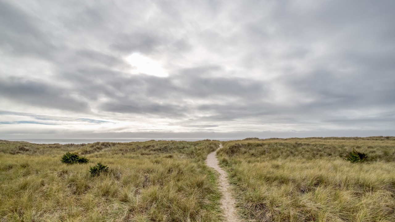 Photo of Others in Manzanita