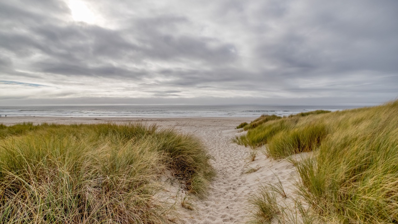 Photo of Others in Manzanita