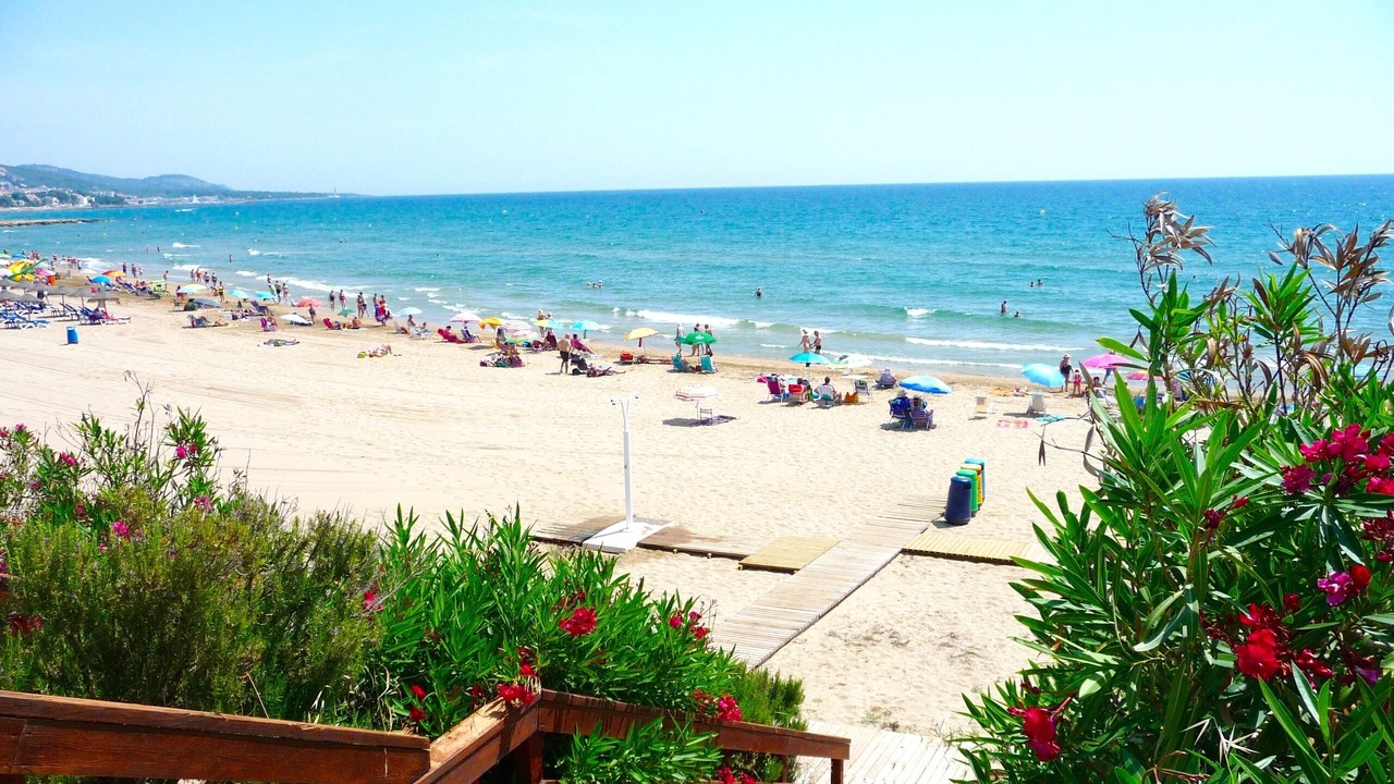 Photo of Others in Alcossebre