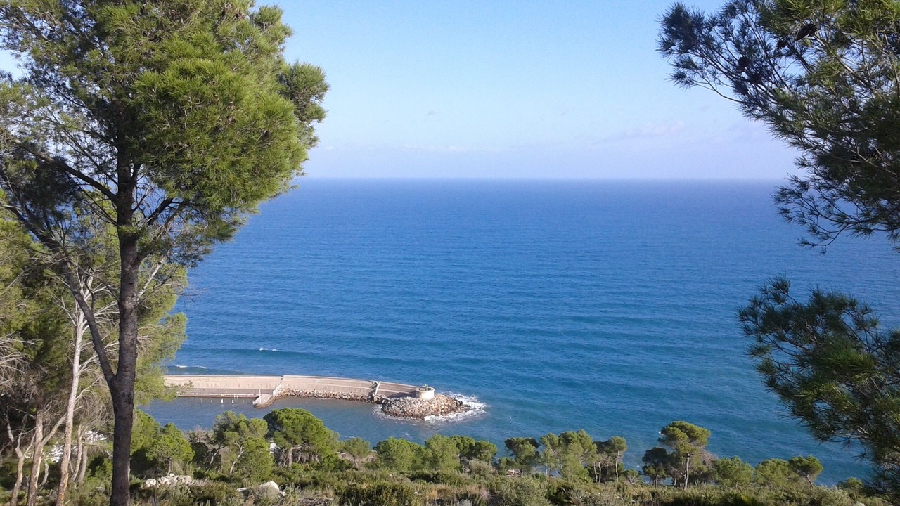 Photo of Others in Alcossebre