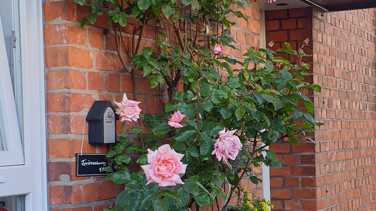 Photo of Outdoor in Schutzenplatz