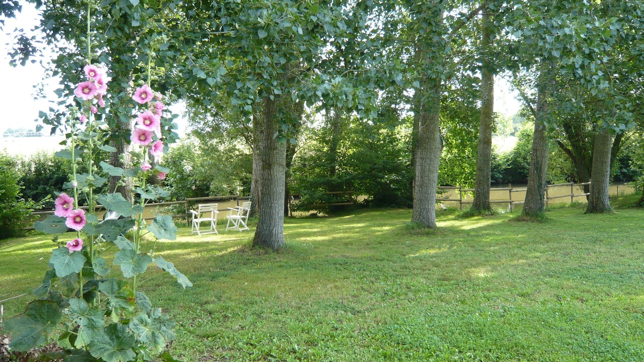 Photo of Outdoor in Asnieres sur Vegre