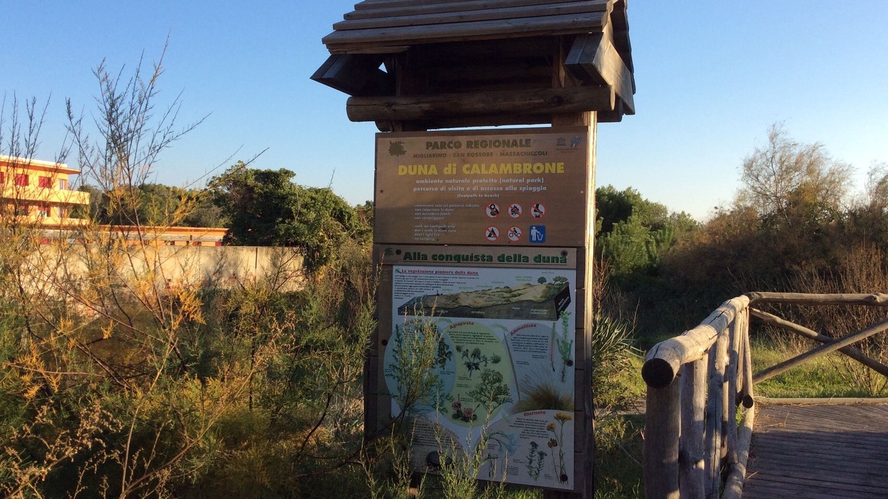 Photo of Outdoor in Calambrone