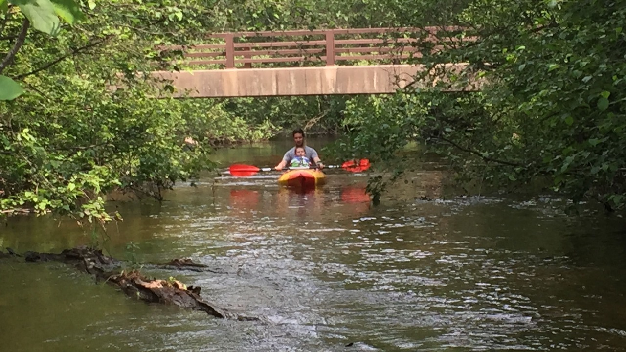 Photo of Others in Dunbar