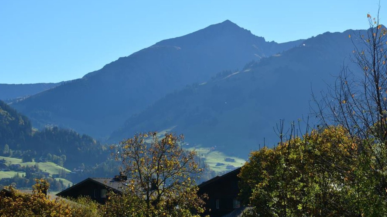 Photo of Others in Saanen