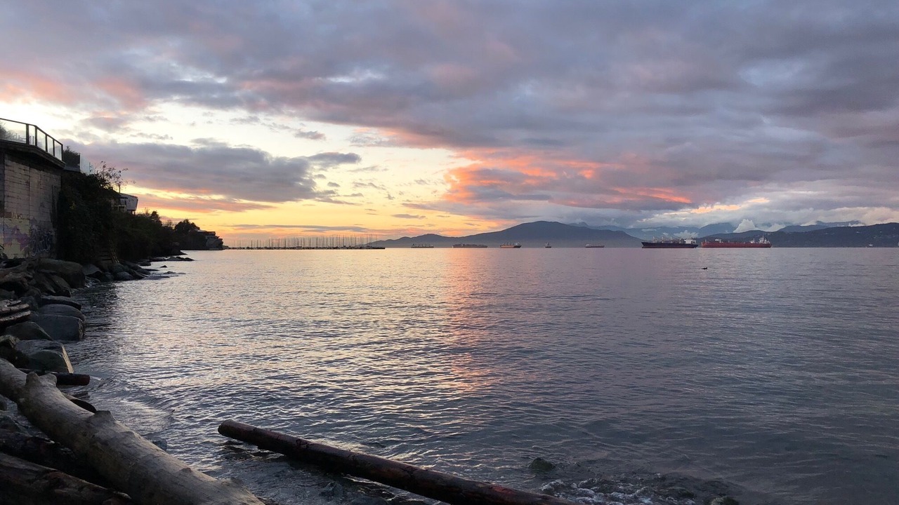 Photo of Others in Kitsilano