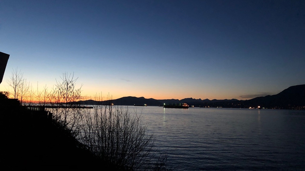 Photo of Others in Kitsilano