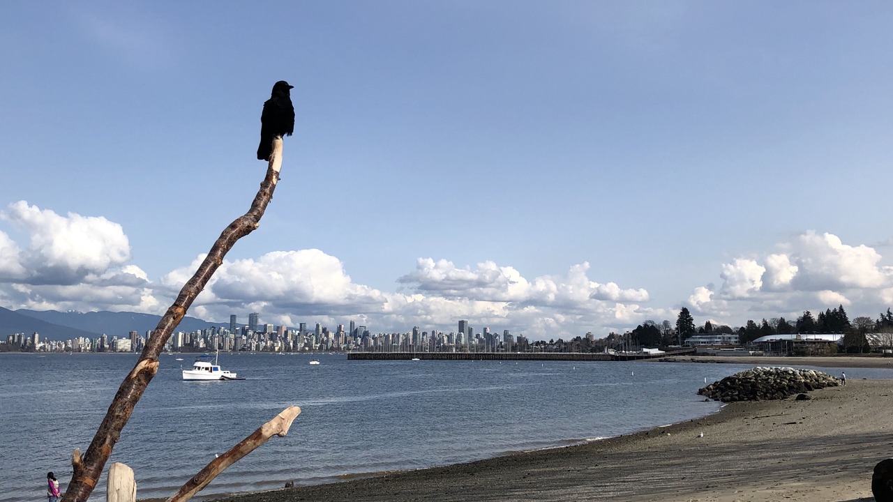 Photo of Others in Kitsilano