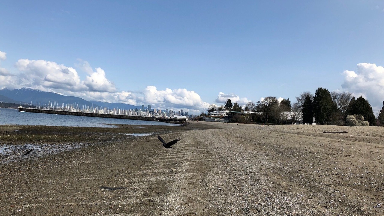 Photo of Others in Kitsilano