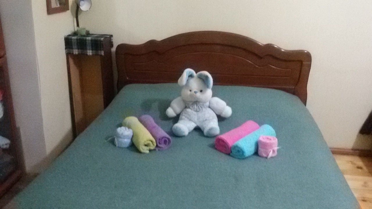 Photo of Bedroom in Sololaki