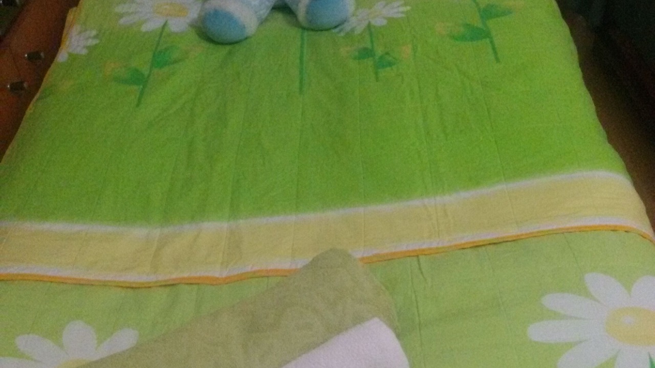 Photo of Bedroom in Sololaki