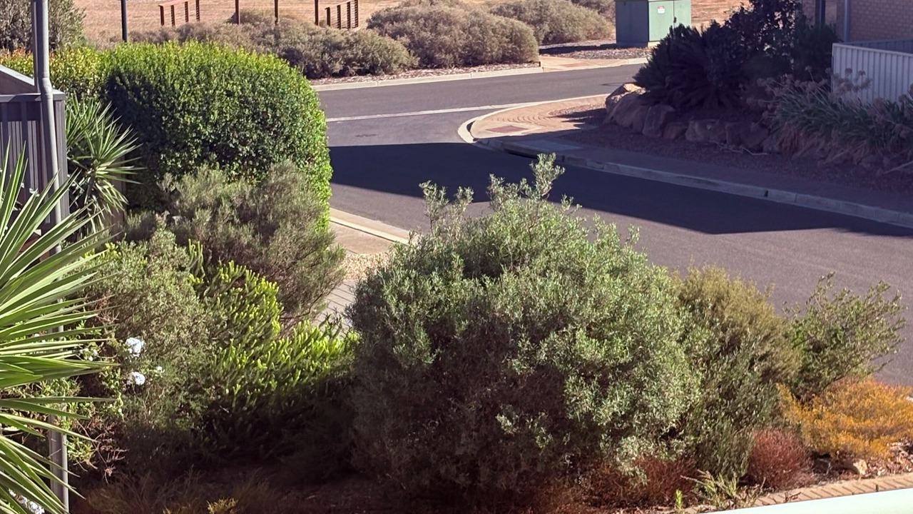 Photo of Outdoor in Sellicks Beach