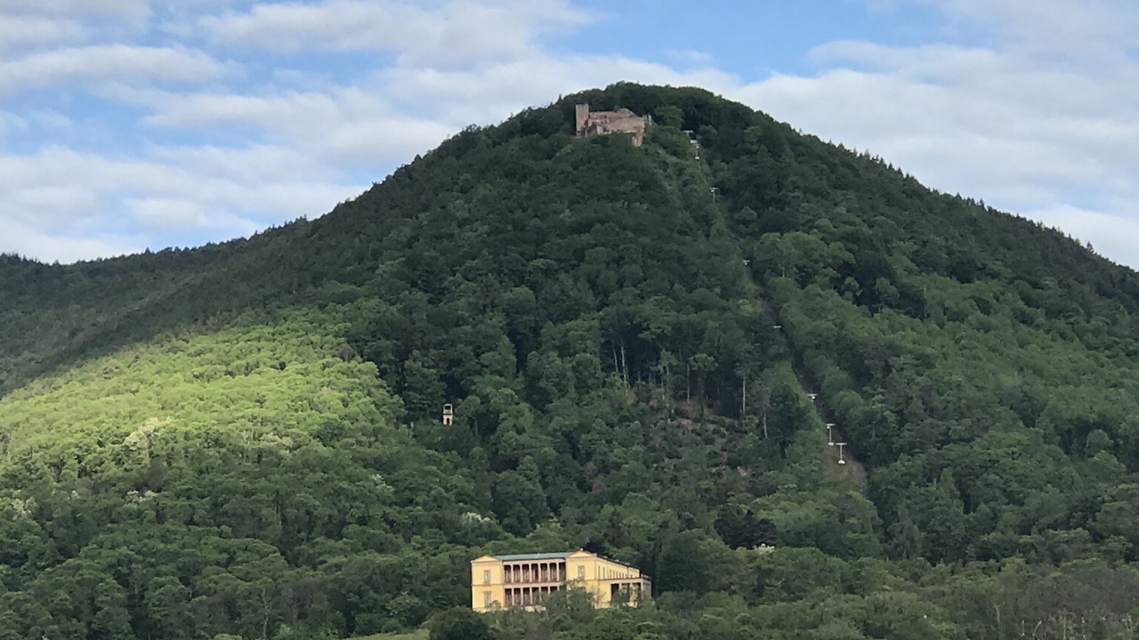 Photo of Outdoor in Rhodt unter Rietburg