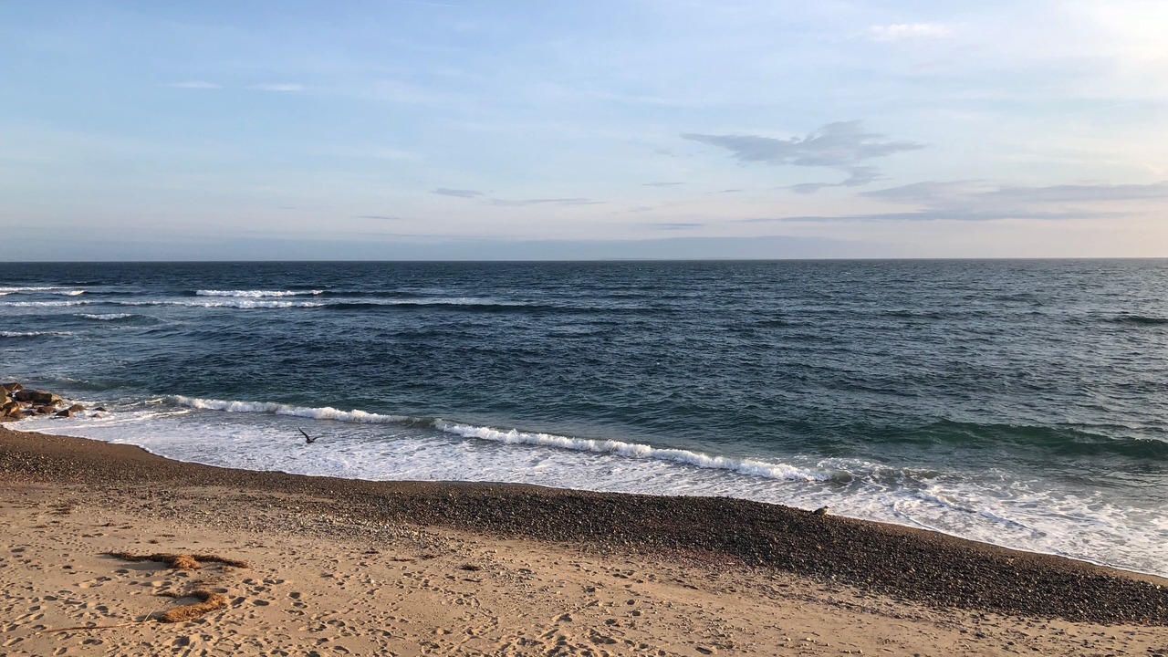 Photo of Others in Matunuck