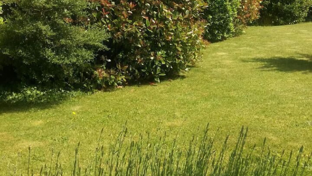 Photo of Outdoor in Sainte-Helene